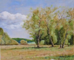 Pastvina  65 x 80